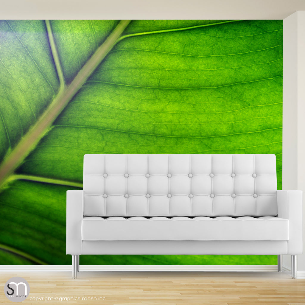 Green leaf wall mural in living room