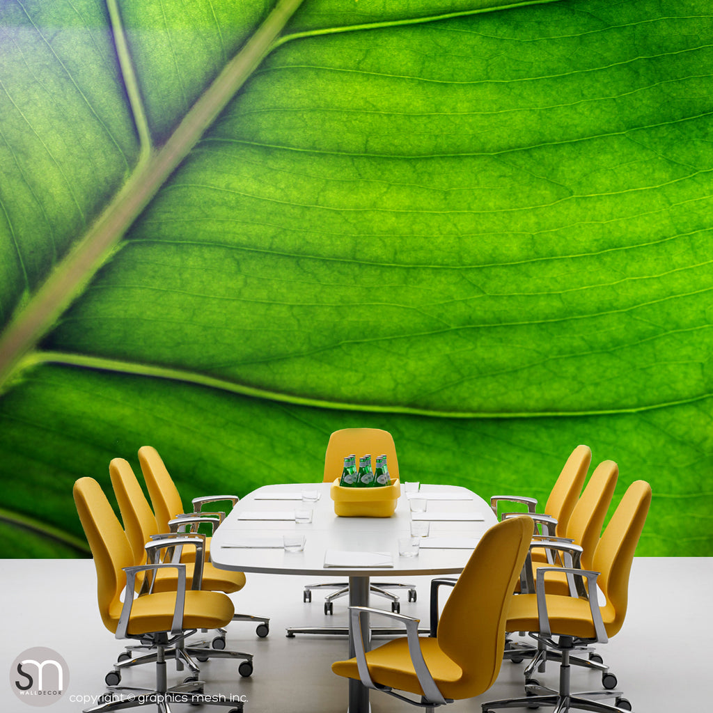 Green leaf wall mural in office
